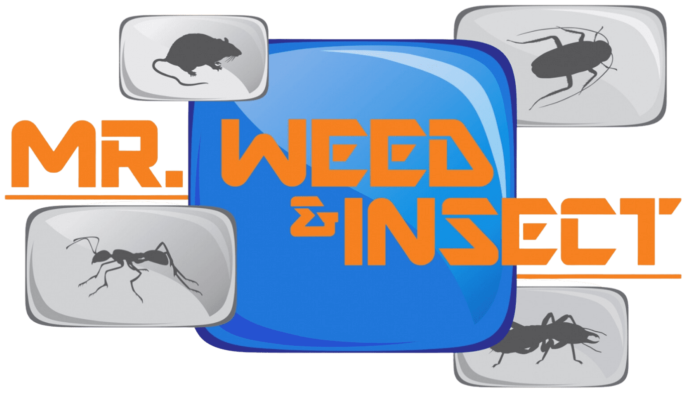 Mr. Weed & Insect logo Mr. Weed & Insect logo with orange text and silhouettes of a rodent, cockroach, ant, and termite on a black background.
