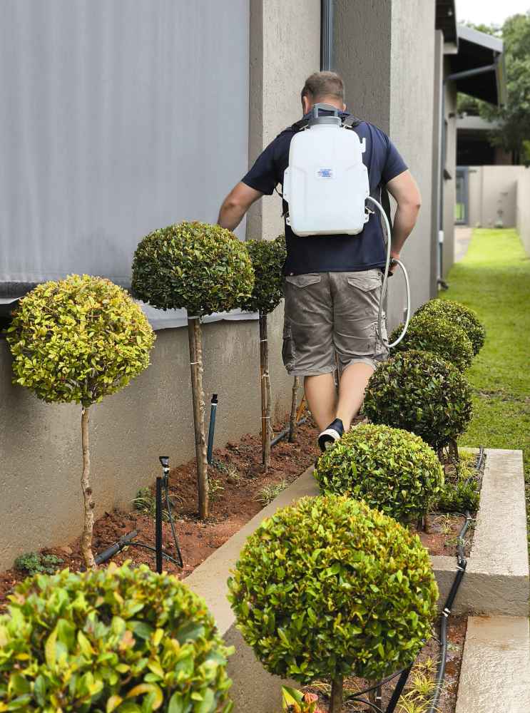 WEBSITE-MR-WEED-INSECT-PEST-CONTROL-7-scaled Spraying Weeds